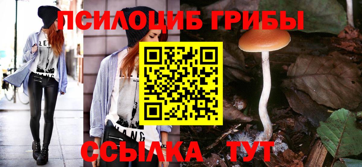 Галлюциногенные грибы мухоморы  Псилоцибиновые грибы мухоморы  Вход с VPN  Улан-Удэ 